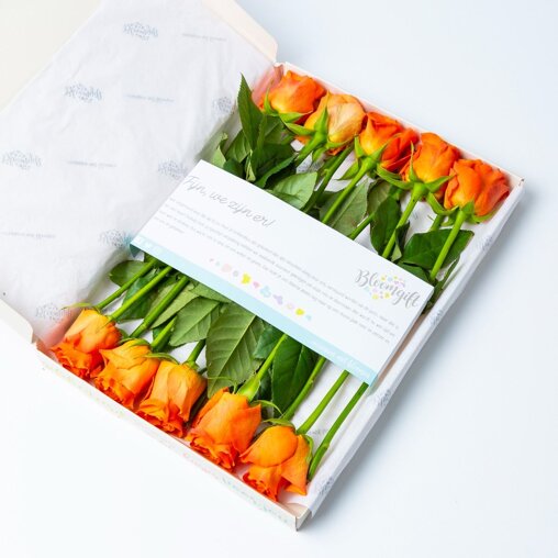 Brievenbus Rozen oranje (10 stuks)